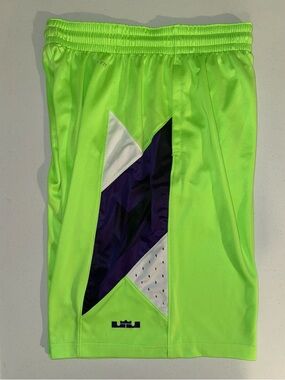 Nike LeBron James King Crown Green And Purple Basketball Shorts Men’s Size Large